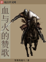 血与火的赞歌类似小说