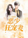 不言旧爱：恶少狂宠妻韩沐哲